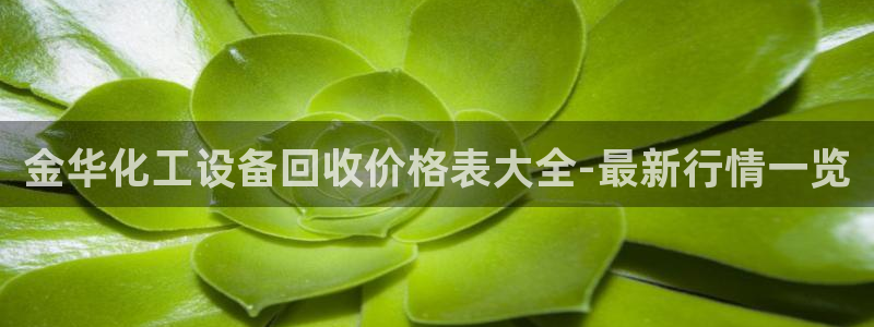 美狮贵宾会下载官方