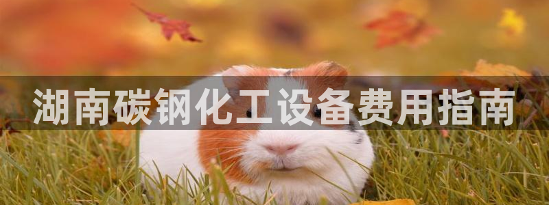 美狮集团有限公司