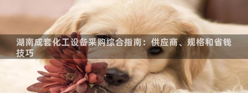 美狮会员卡等级怎么划分