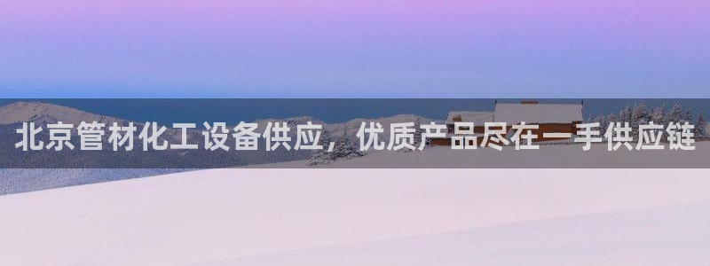 美国美狮集团
