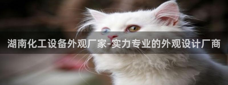 美狮贵宾会网址092app