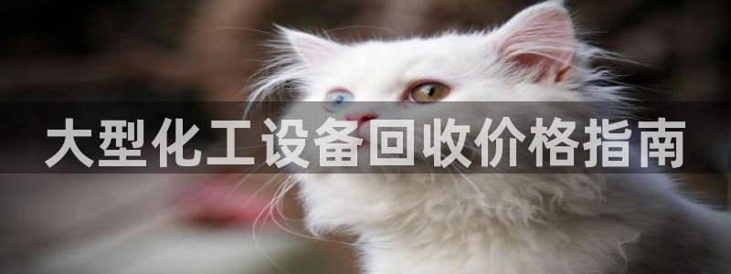 美狮官网