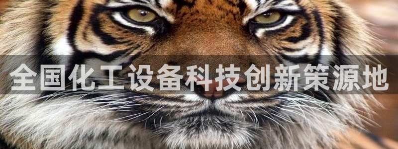 美狮会员卡等级划分图