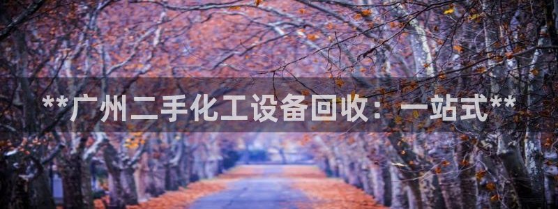 美狮平台