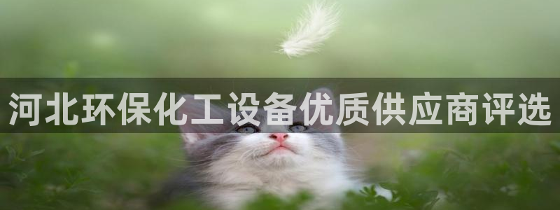 美狮会客服官网