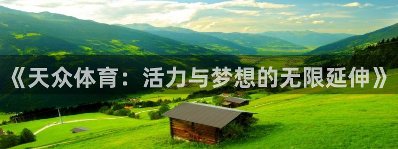 动感熊猫体育公园