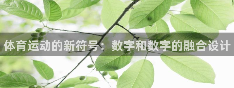 熊猫体育怎么样