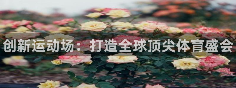 熊猫体育官网首页入口