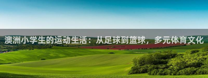 熊猫体育公园价格