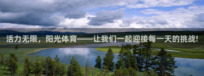 熊猫体育文化有限公司