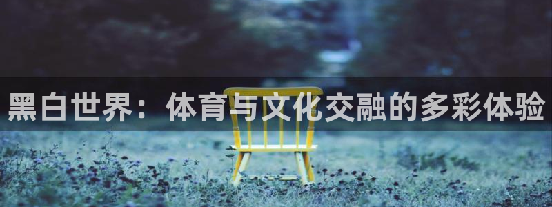熊猫体育文化有限公司