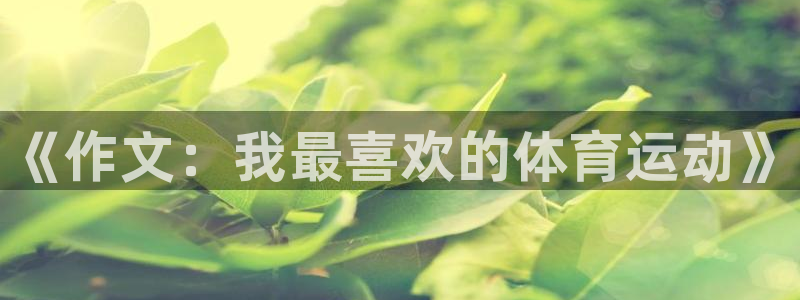 熊猫体育文化有限公司
