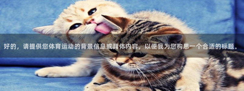 下载熊猫体育