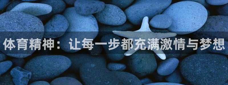 熊猫体育app官方入口