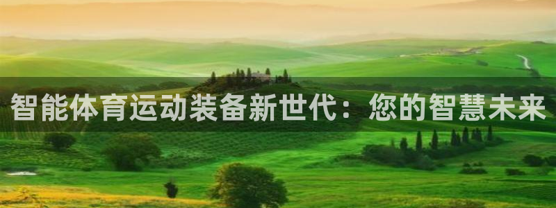 熊猫体育手机版