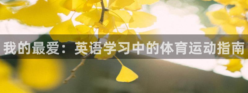 熊猫体育直播nba
