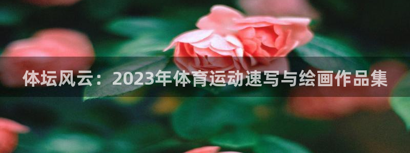 熊猫体育直播nba