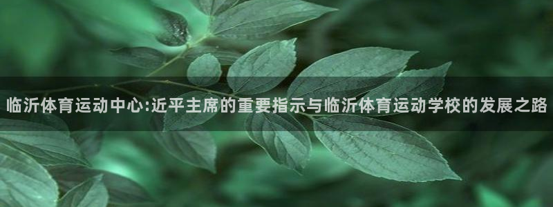 中山熊猫体育