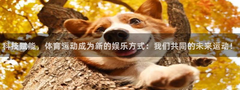 成都金熊猫体育