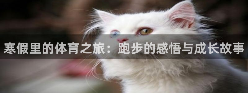 熊猫体育在线观看