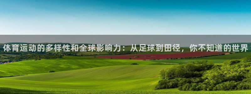 成都熊猫体育公园