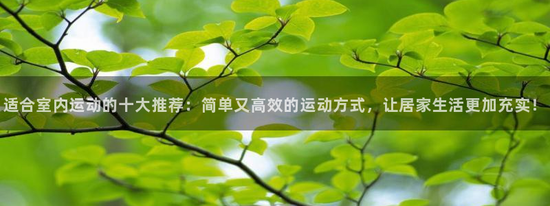 成都金熊猫体育