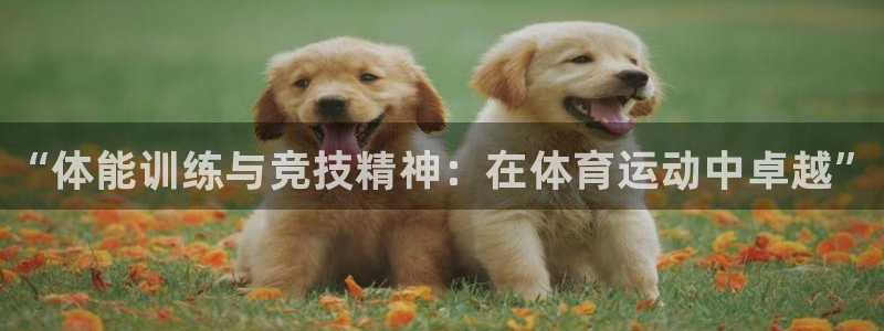 熊猫体育v3.新网页.org