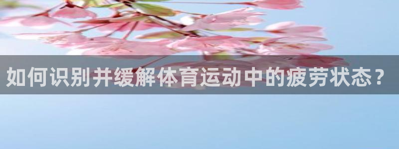 熊猫体育在线