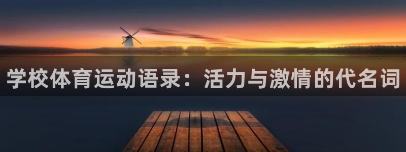 熊猫体育手机版