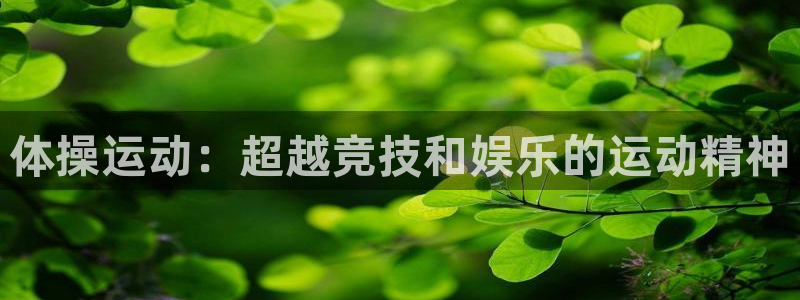 熊猫体育app官方下载最新版