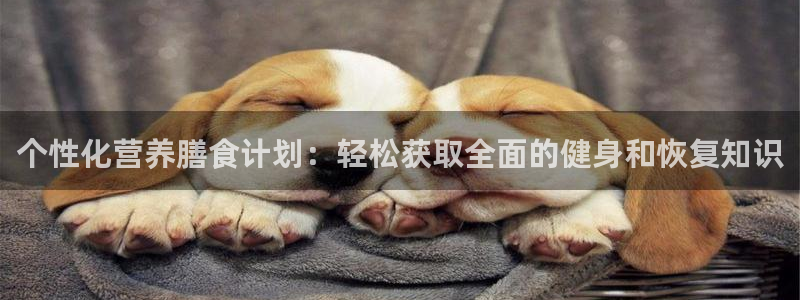 熊猫体育公园