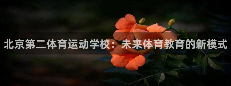 成都熊猫体育公园