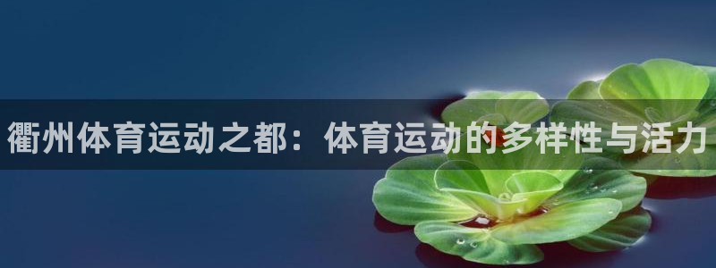 动感熊猫体育公园