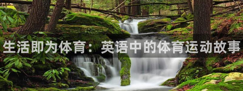 熊猫体育手机版下载