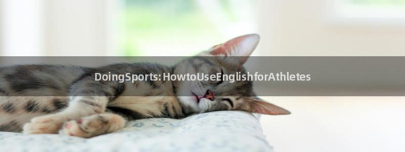 熊猫体育平台官网