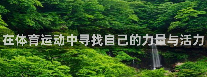 熊猫体育在线观看