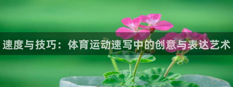 熊猫体育网站