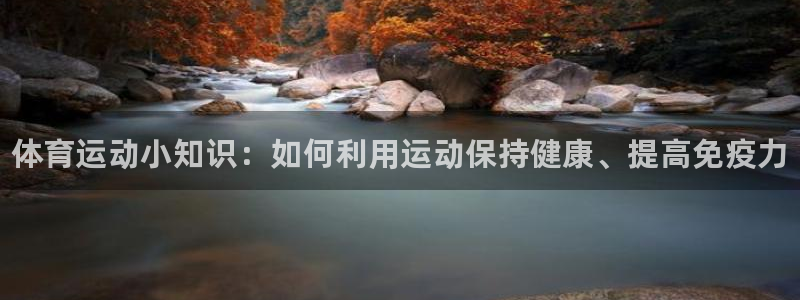 熊猫体育网址