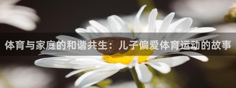 熊猫体育app官方下载最新版