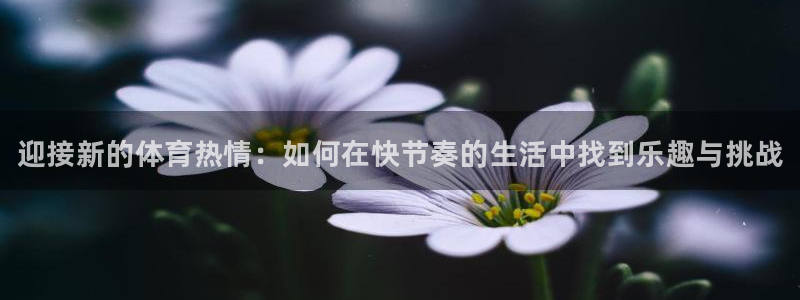 熊猫体育在线