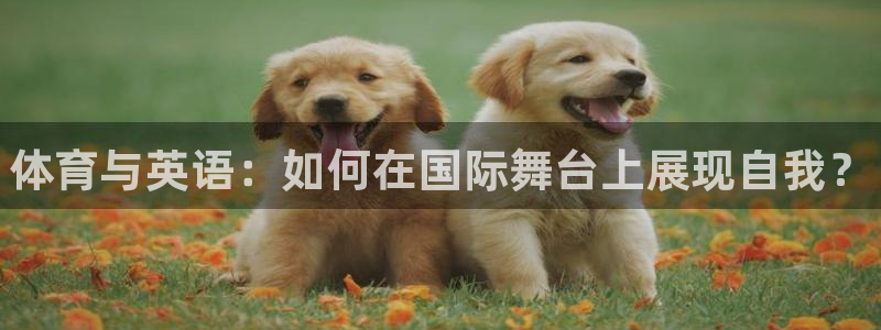 成都金熊猫体育