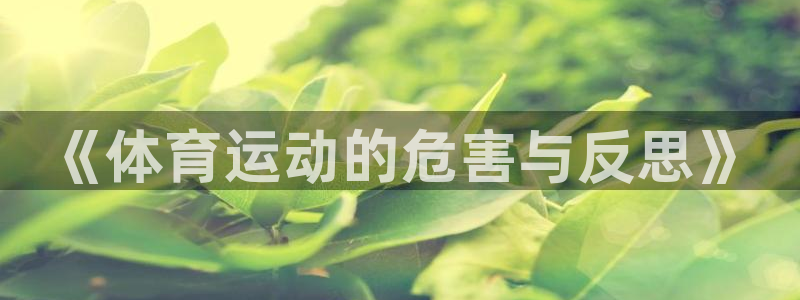 熊猫体育在线