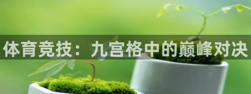 熊猫体育平台