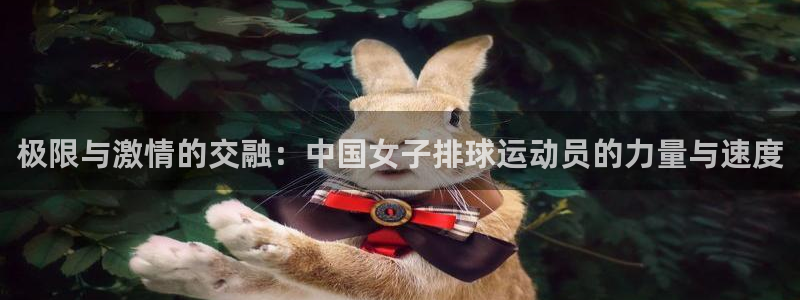 熊猫体育公园