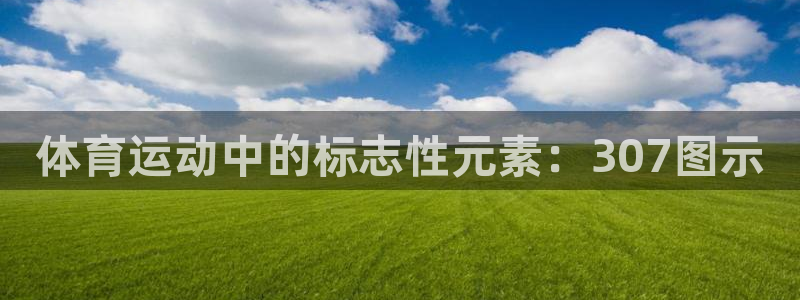 熊猫体育在线