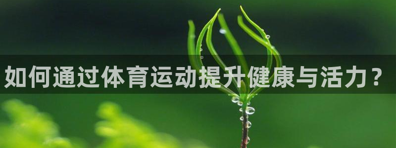熊猫体育