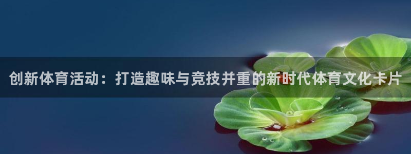 成都金熊猫体育