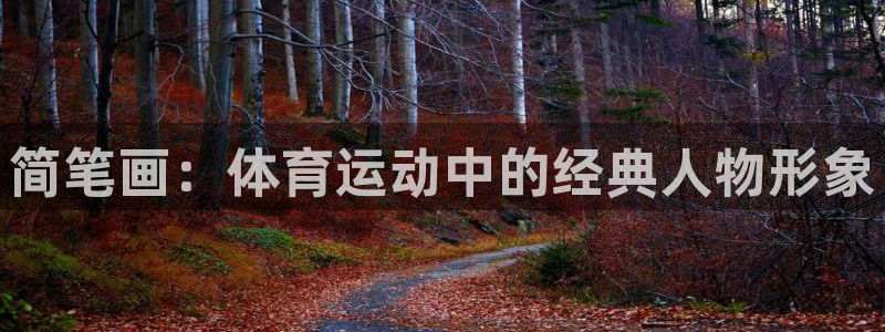 熊猫体育文化有限公司