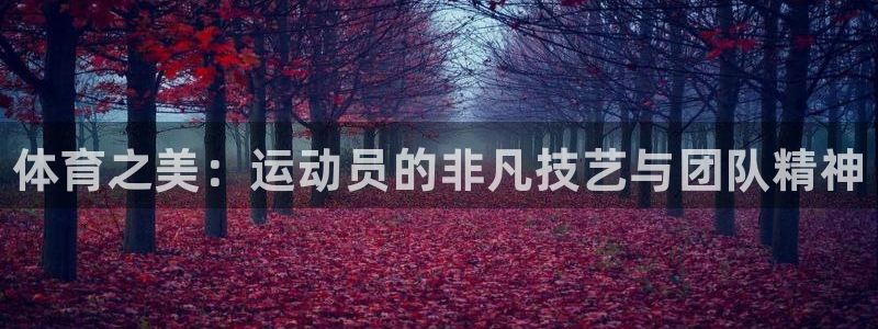 动感熊猫体育公园
