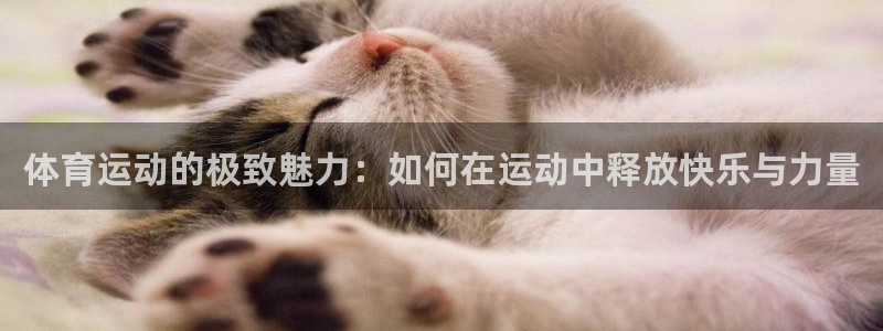 熊猫体育app官方入口